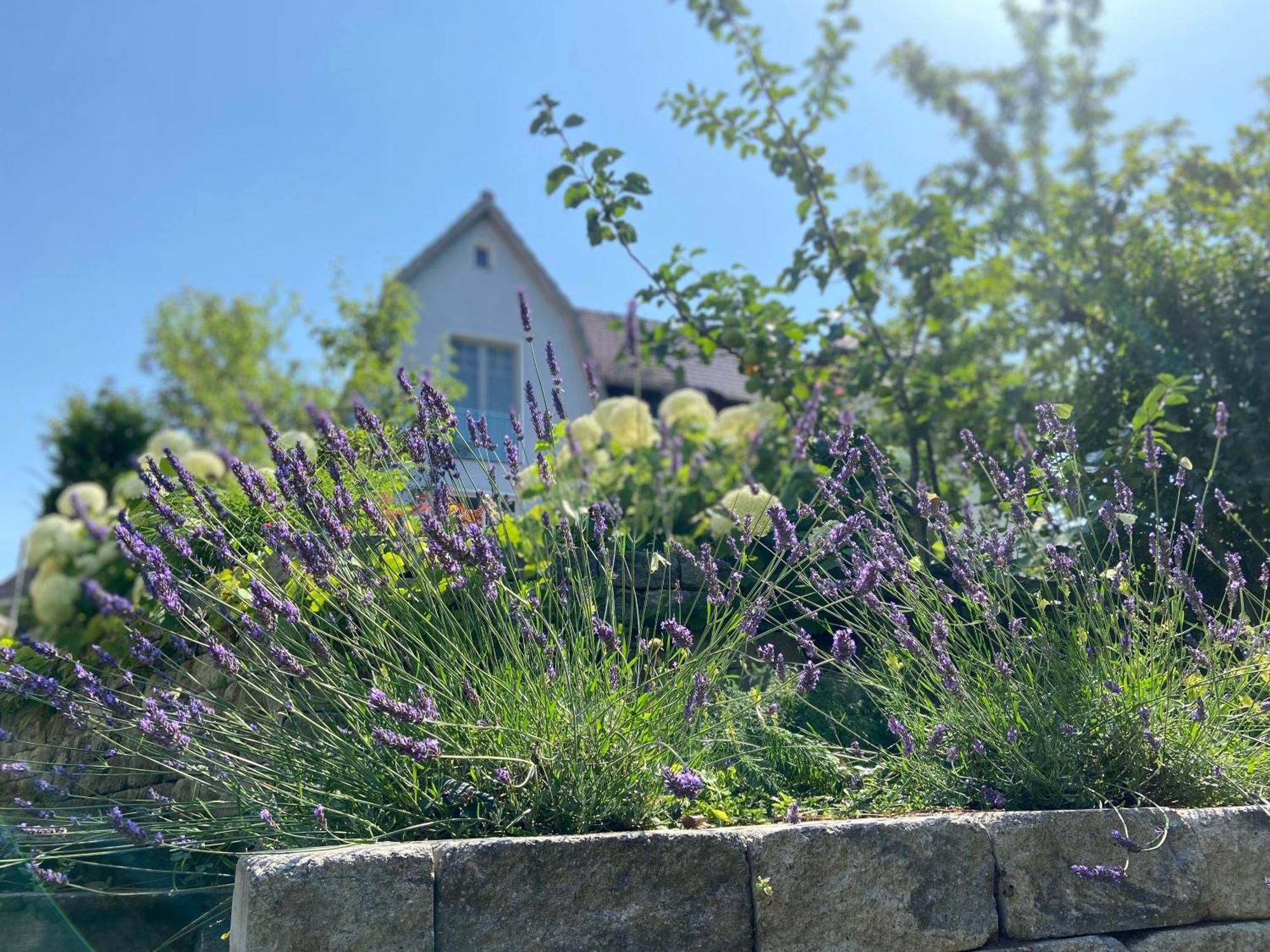 Romantik Idyll Am Tiefental Konigsbruck Ngoại thất bức ảnh