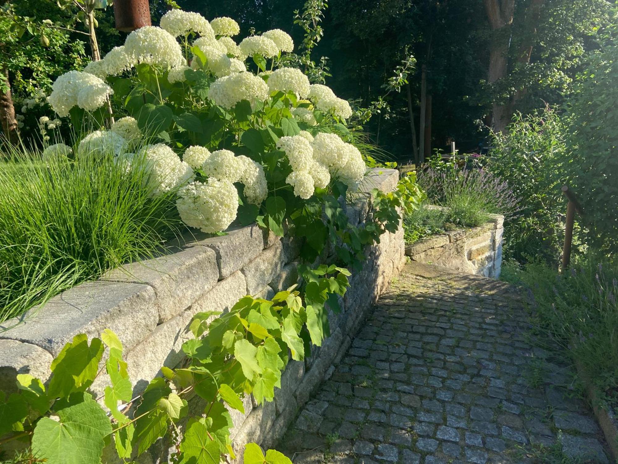 Romantik Idyll Am Tiefental Konigsbruck Ngoại thất bức ảnh