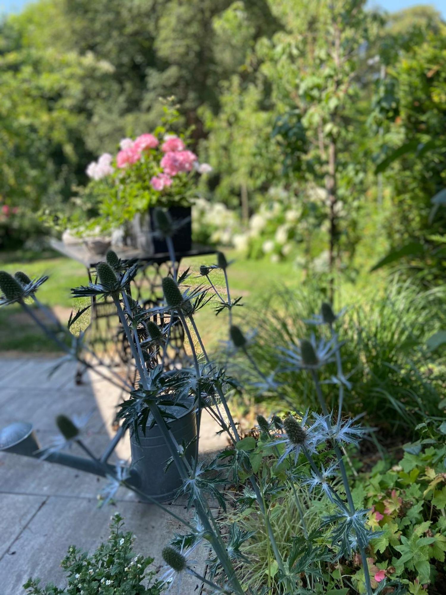Romantik Idyll Am Tiefental Konigsbruck Ngoại thất bức ảnh